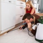 Tips for Dealing With Residential Pest Control Services