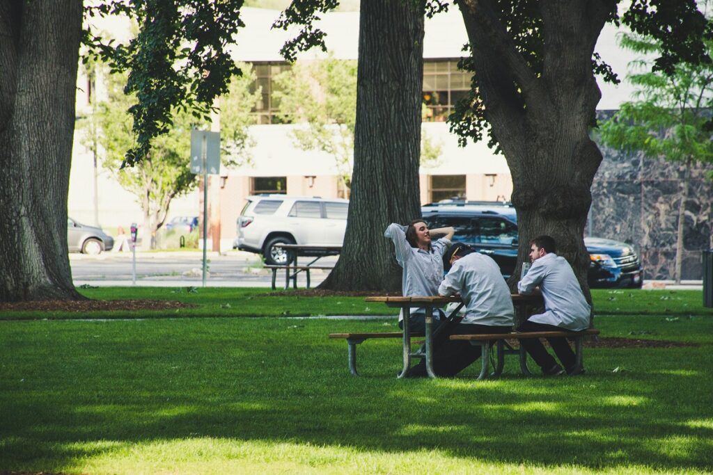 Finding the Perfect Picnic Perch: Why a Metal Picnic Table Might Be Your Backyard’s Best Friend