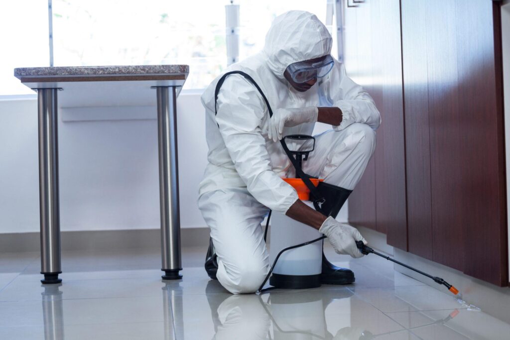Pest Control Mistakes That Make Problems Worse